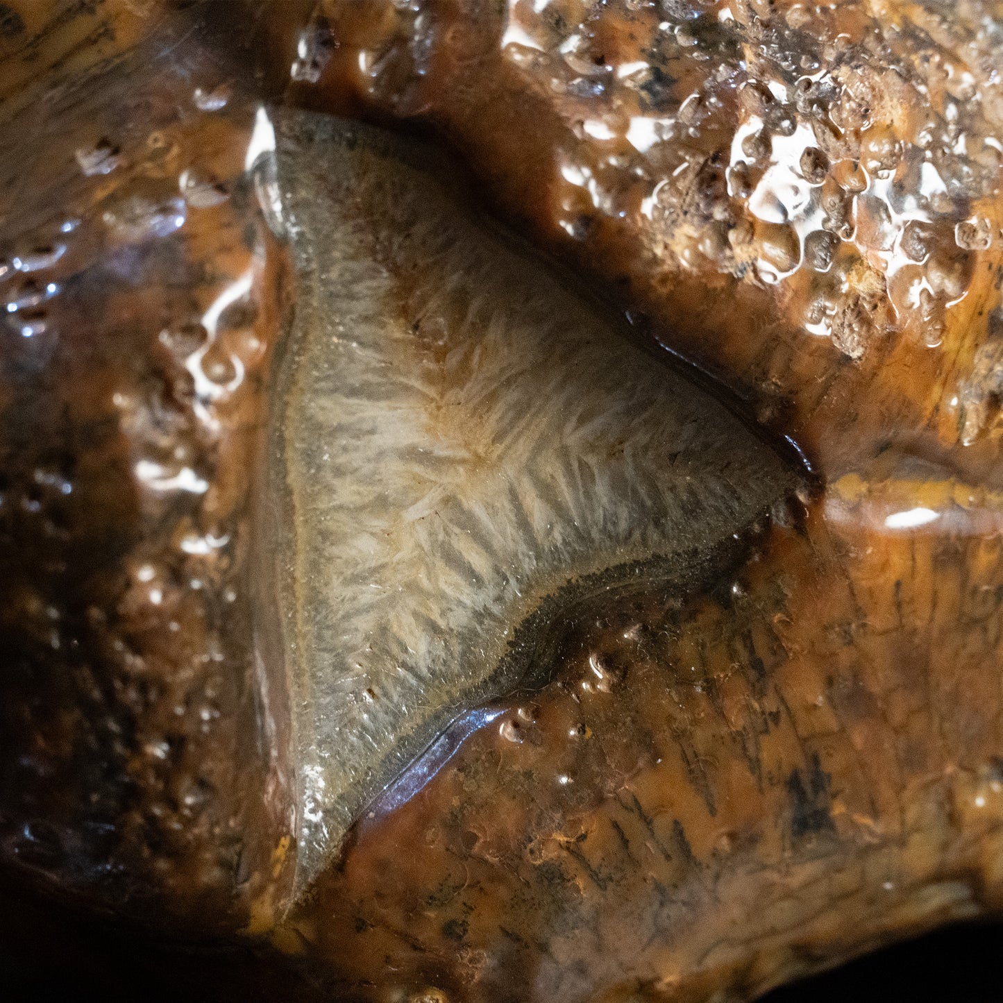 🪨 10" River-Polished Agate w/ Triangular Druzy Core | One-of-a-Kind Specimen