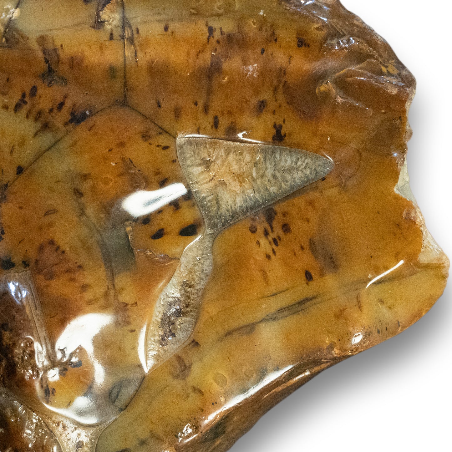 🪨 10" River-Polished Agate w/ Triangular Druzy Core | One-of-a-Kind Specimen